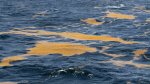 Sargassum Golden Tides